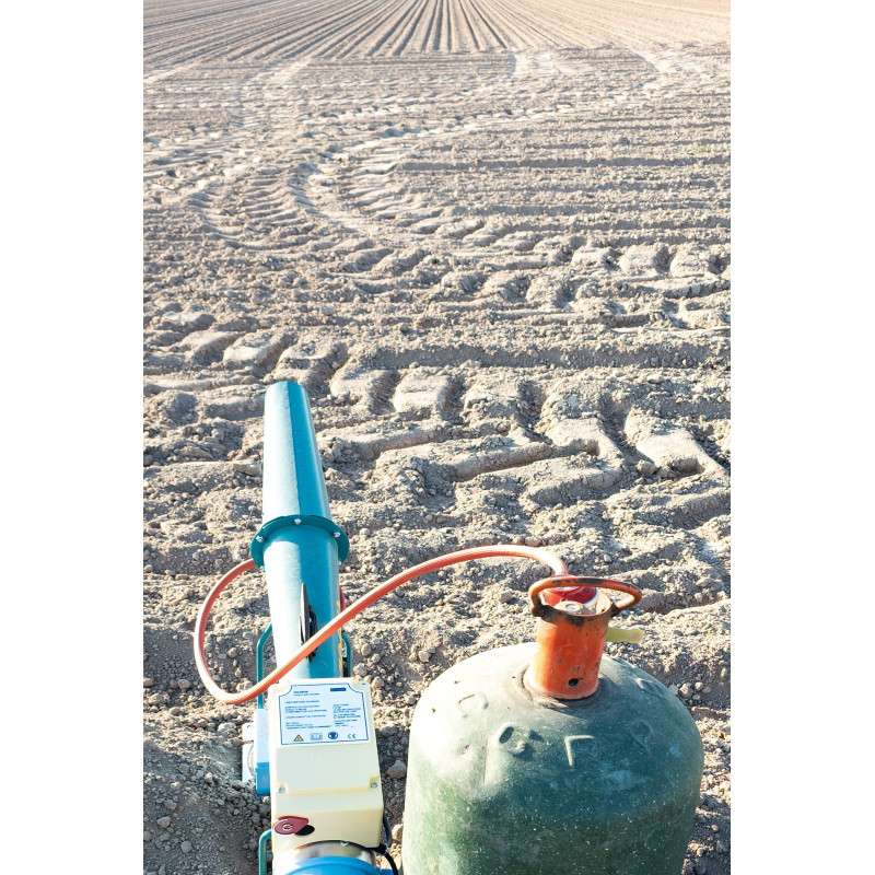 Ref SP : 1724695956.tif