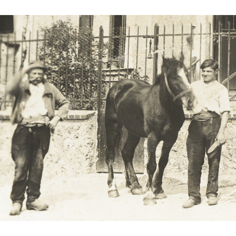 Ref SP : 1733591544.tif