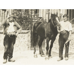 Ref SP : 1733608476.tif