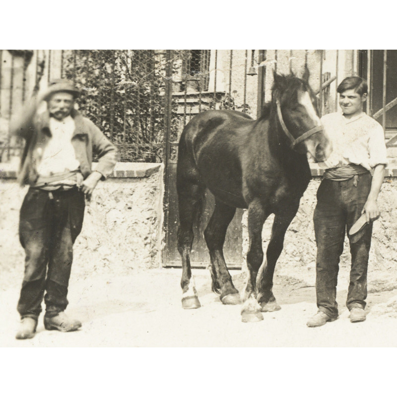 Ref SP : 1733608476.tif