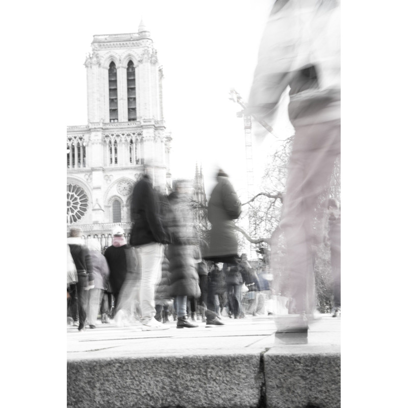 Ref SP : 1740908163.tif