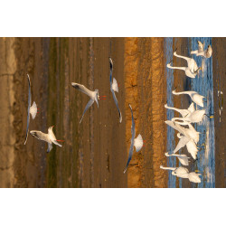 Ref SP : 1760805861.jpg