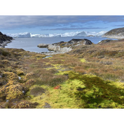 Ref SP : 1762182416.jpeg